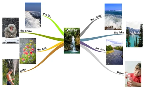 water_《小学思维导图》_思维导图语数英第二套_英语_思维导图_思维导图RAZAA