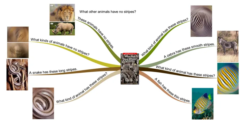 whathasthesestripes_《小学思维导图》_思维导图语数英第二套_英语_思维导图_思维导图RAZB
