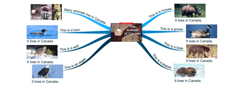theanimalsofCanada_《小学思维导图》_思维导图语数英第二套_英语_思维导图_思维导图RAZC