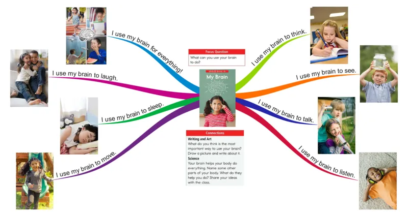 mybrain_《小学思维导图》_思维导图语数英第二套_英语_思维导图_思维导图RAZB