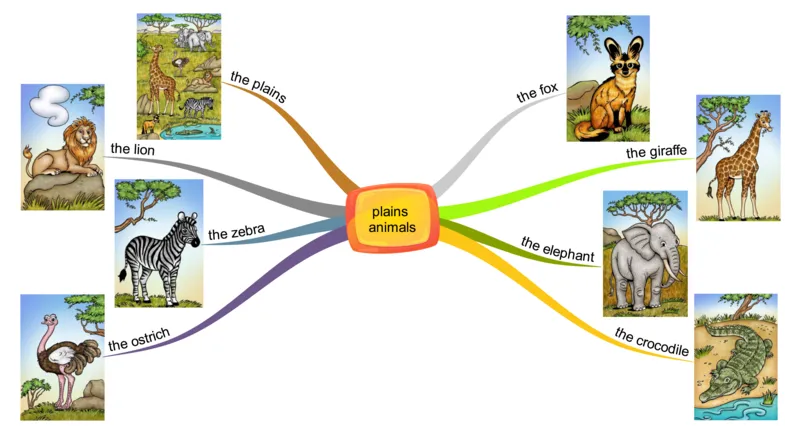 plainsanimals_《小学思维导图》_思维导图语数英第二套_英语_思维导图_思维导图RAZAA