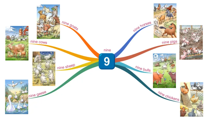 nine_《小学思维导图》_思维导图语数英第二套_英语_思维导图_思维导图RAZAA
