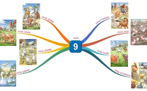 nine_《小学思维导图》_思维导图语数英第二套_英语_思维导图_思维导图RAZAA
