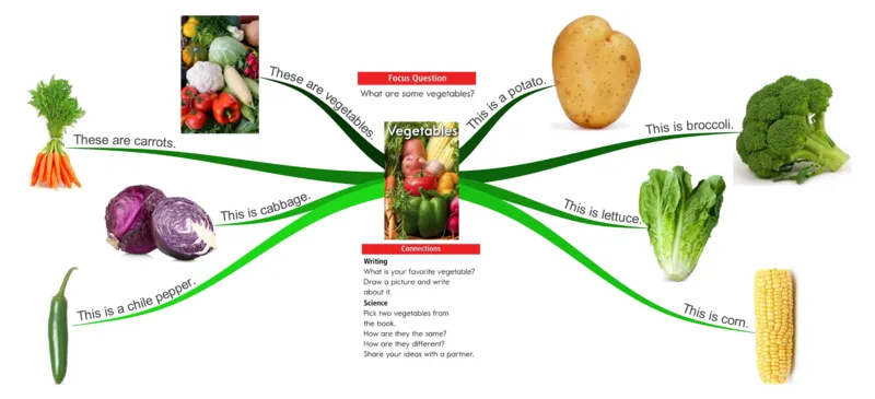 vegetables_《小学思维导图》_思维导图语数英第二套_英语_思维导图_思维导图RAZA