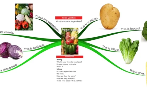 vegetables_《小学思维导图》_思维导图语数英第二套_英语_思维导图_思维导图RAZA
