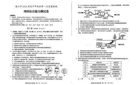 黄山一模理科综合试题_05高考化学_高考模拟题_全国课标版_安徽黄山市2023届高中毕业班第一次质量检测理综_安徽黄山市2023届高中毕业班第一次质量检测理综