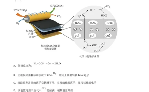 高频考点23原电池的工作原理-2023年高考化学二轮复习高频考点51练（原卷版）_05高考化学_新高考复习资料_2023年新高考资料_二轮复习_2023年高考化学二轮复习高频考点51练292724123