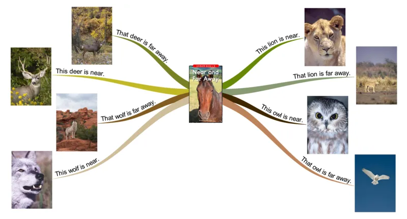 nearandfaraway_《小学思维导图》_思维导图语数英第二套_英语_思维导图_思维导图RAZB