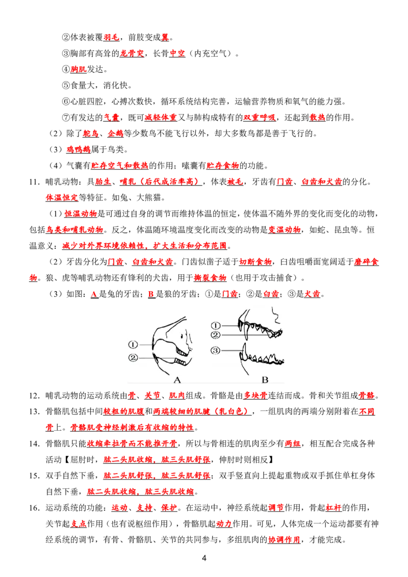 24年人教版八上生物89个必背知识_24秋《初中各科知识点梳理》_2024秋《名师总结》知识点789年级全科_24秋《名师总结》知识点八年级全科