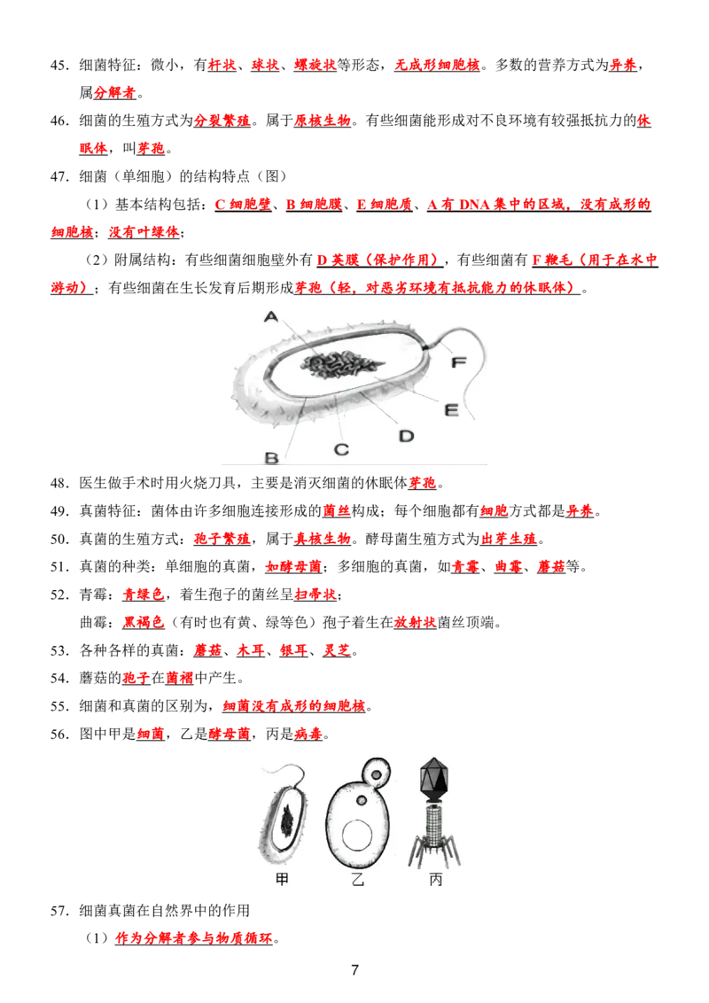 24年人教版八上生物89个必背知识_24秋《初中各科知识点梳理》_2024秋《名师总结》知识点789年级全科_24秋《名师总结》知识点八年级全科
