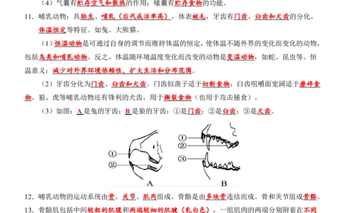24年人教版八上生物89个必背知识_24秋《初中各科知识点梳理》_2024秋《名师总结》知识点789年级全科_24秋《名师总结》知识点八年级全科