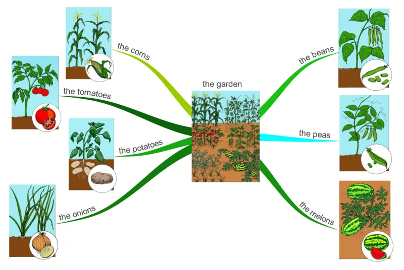 thegarden_《小学思维导图》_思维导图语数英第二套_英语_思维导图_思维导图RAZAA