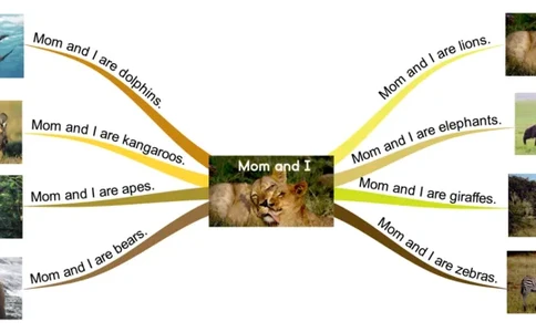 MomandI_《小学思维导图》_思维导图语数英第二套_英语_思维导图_思维导图RAZA