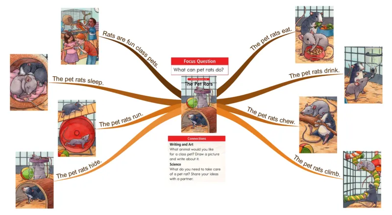thepetrats_《小学思维导图》_思维导图语数英第二套_英语_思维导图_思维导图RAZB