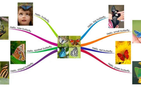 HelloButterfly_《小学思维导图》_思维导图语数英第二套_英语_思维导图_思维导图RAZA