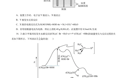黄金卷08-赢在高考&middot;黄金8卷备战2024年高考化学模拟卷（浙江专用）（考试版）_05高考化学_2024年新高考资料_4.2024高考模拟预测试卷