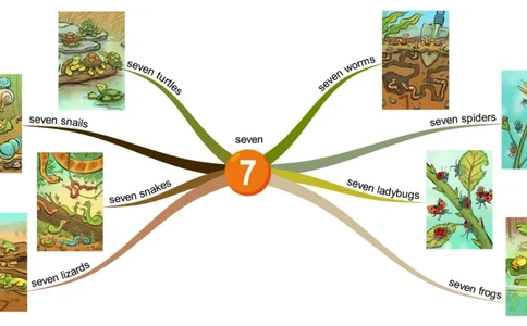 seven_《小学思维导图》_思维导图语数英第二套_英语_思维导图_思维导图RAZAA