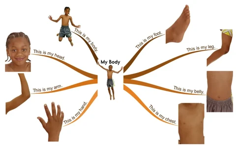 mybody_《小学思维导图》_思维导图语数英第二套_英语_思维导图_思维导图RAZA