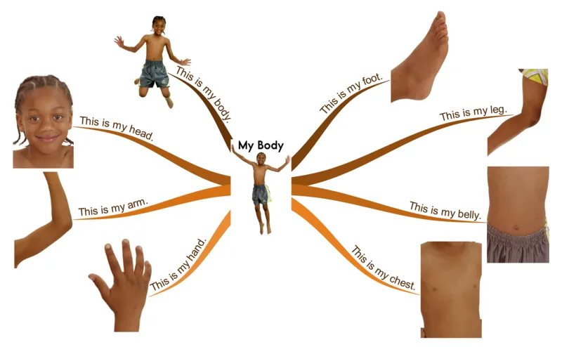 mybody_《小学思维导图》_思维导图语数英第二套_英语_思维导图_思维导图RAZA