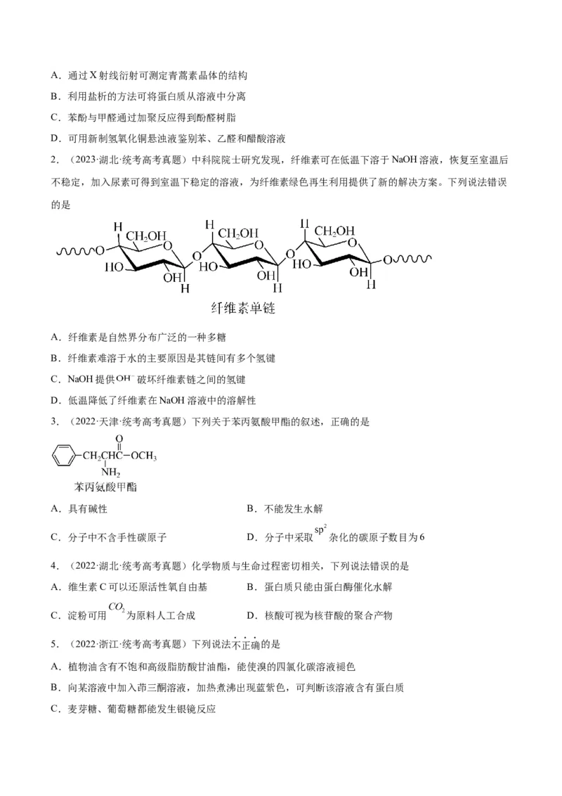 考点巩固卷11有机化学基础（二）-2024年高考化学一轮复习考点通关卷（新高考通用）（原卷版）_05高考化学_2024年新高考资料_1.2024一轮复习