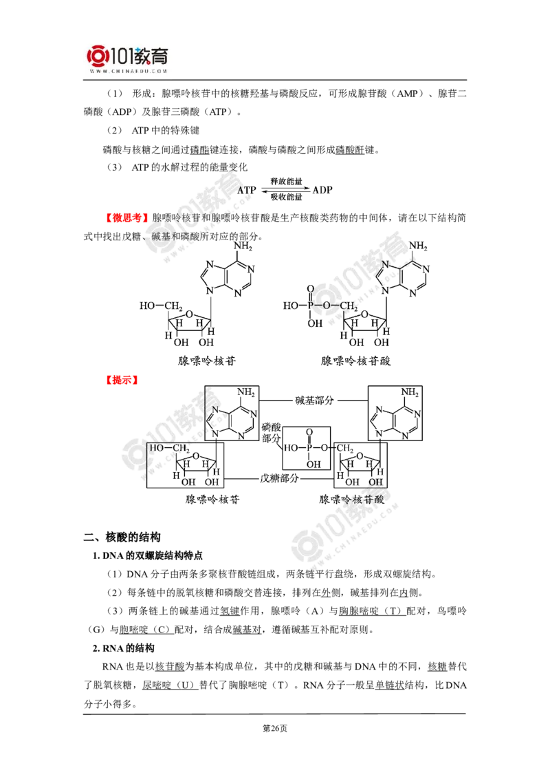 选择性必修3第四章生物大分子第一节糖类第二节蛋白质第三节核酸_新人教版高二化学选修一、二、三_新人教版高中化学选择性必修第三册_高二化学（选择性必修第三册）学案练习