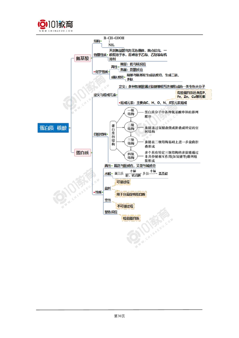 选择性必修3第四章生物大分子第一节糖类第二节蛋白质第三节核酸_新人教版高二化学选修一、二、三_新人教版高中化学选择性必修第三册_高二化学（选择性必修第三册）学案练习