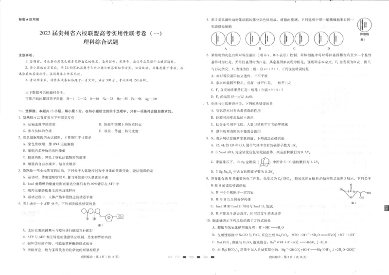 贵州省六校联盟2022-2023学年高三上学期高考实用性联考（一）理科综合试题_05高考化学_高考模拟题_全国课标版_2023贵州省六校联盟高三上学期高考实用性联考（一）理综
