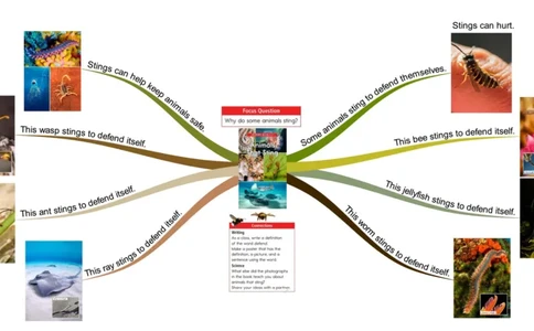 animalsthatsting_《小学思维导图》_思维导图语数英第二套_英语_思维导图_思维导图RAZC