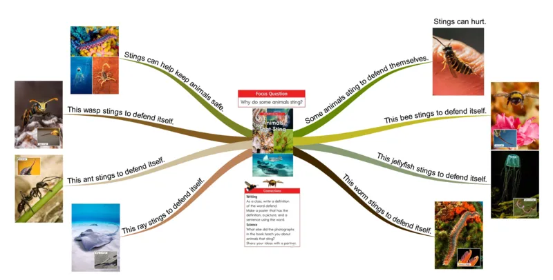 animalsthatsting_《小学思维导图》_思维导图语数英第二套_英语_思维导图_思维导图RAZC