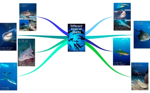 differentkindsofsharks_《小学思维导图》_思维导图语数英第二套_英语_思维导图_思维导图RAZC