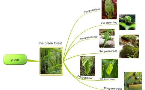 green_《小学思维导图》_思维导图语数英第二套_英语_思维导图_思维导图RAZAA