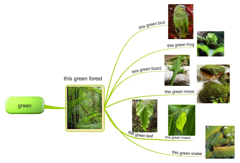 green_《小学思维导图》_思维导图语数英第二套_英语_思维导图_思维导图RAZAA