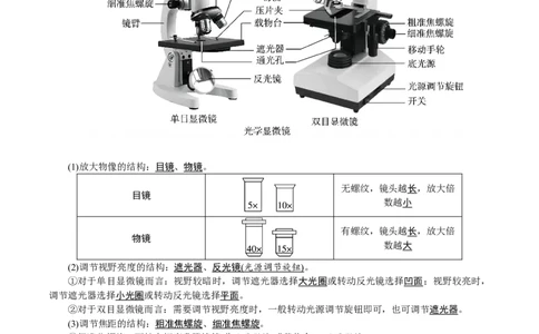 24新教材人教版七上生物单元知识点速记_24秋《初中各科知识点梳理》_2024秋《名师总结》知识点789年级全科_24秋《名师总结》知识点七年级全科
