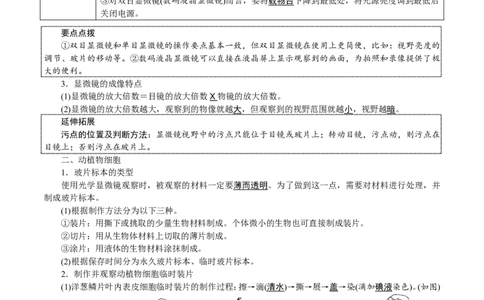 24新教材人教版七上生物单元知识点速记_24秋《初中各科知识点梳理》_2024秋《名师总结》知识点789年级全科_24秋《名师总结》知识点七年级全科