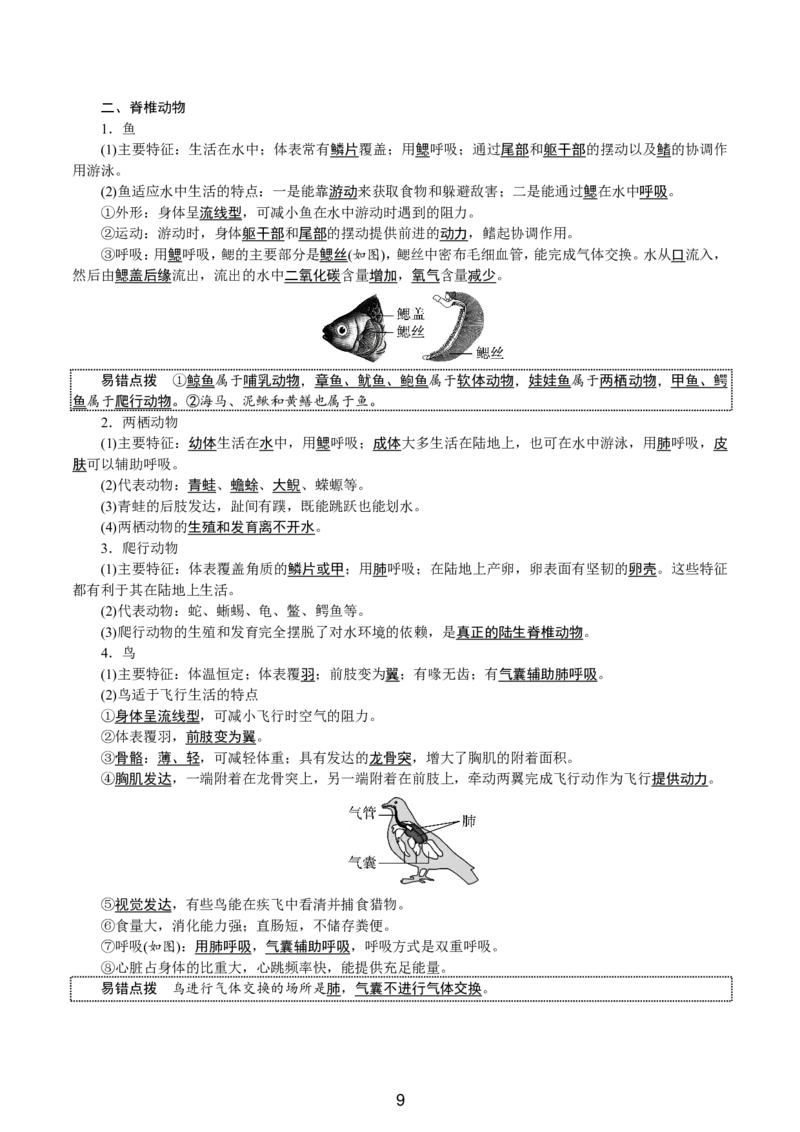 24新教材人教版七上生物单元知识点速记_24秋《初中各科知识点梳理》_2024秋《名师总结》知识点789年级全科_24秋《名师总结》知识点七年级全科
