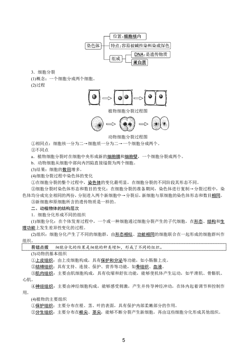 24新教材人教版七上生物单元知识点速记_24秋《初中各科知识点梳理》_2024秋《名师总结》知识点789年级全科_24秋《名师总结》知识点七年级全科