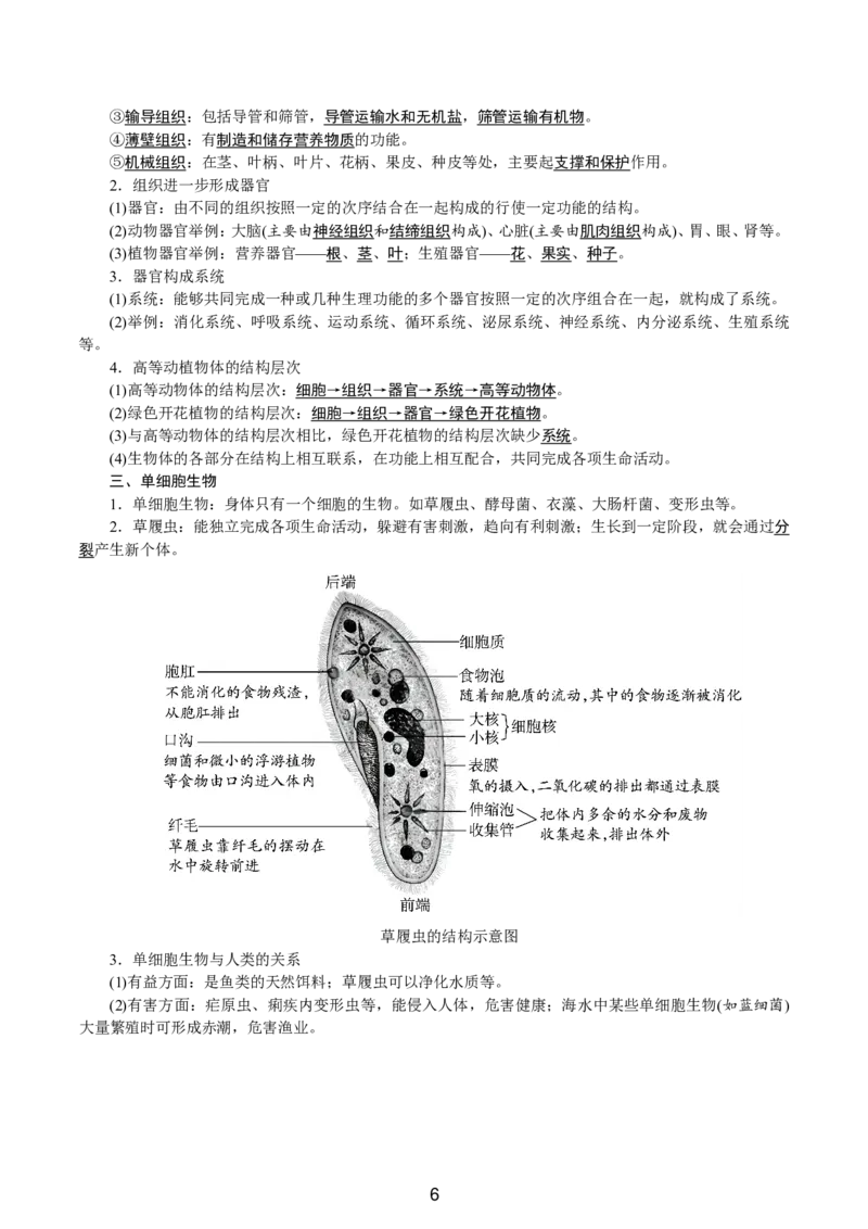 24新教材人教版七上生物单元知识点速记_24秋《初中各科知识点梳理》_2024秋《名师总结》知识点789年级全科_24秋《名师总结》知识点七年级全科