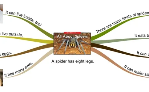 allaboutspiders_《小学思维导图》_思维导图语数英第二套_英语_思维导图_思维导图RAZC