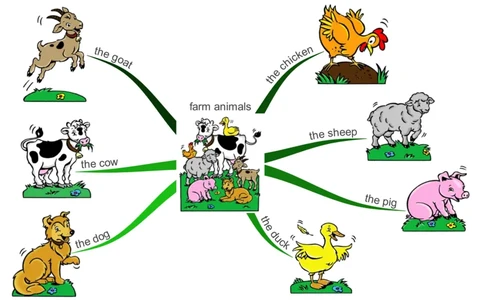 farmanimals_《小学思维导图》_思维导图语数英第二套_英语_思维导图_思维导图RAZAA