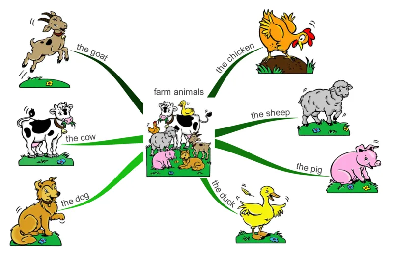 farmanimals_《小学思维导图》_思维导图语数英第二套_英语_思维导图_思维导图RAZAA