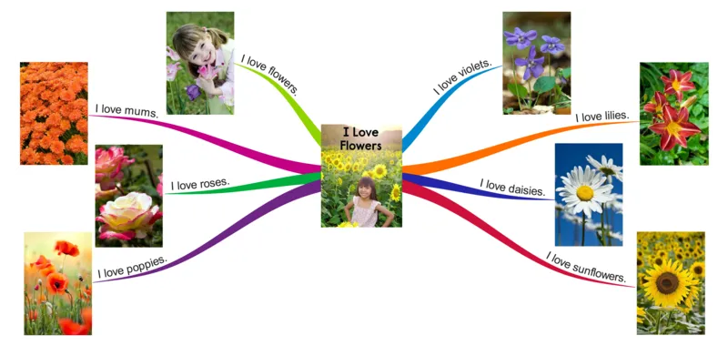 Iloveflowers_《小学思维导图》_思维导图语数英第二套_英语_思维导图_思维导图RAZA