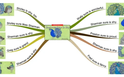 shermansureisshy_《小学思维导图》_思维导图语数英第二套_英语_思维导图_思维导图RAZC