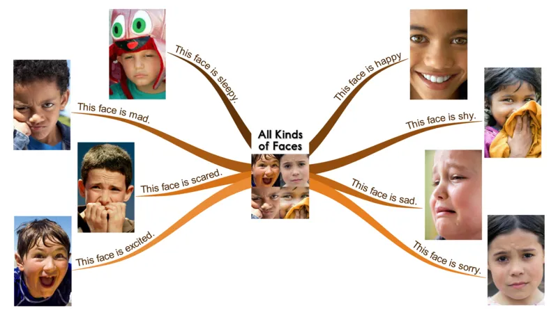 allkindsoffaces_《小学思维导图》_思维导图语数英第二套_英语_思维导图_思维导图RAZA