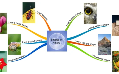 ShapesinNature_《小学思维导图》_思维导图语数英第二套_英语_思维导图_思维导图RAZA