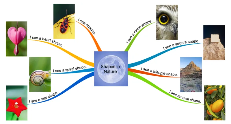 ShapesinNature_《小学思维导图》_思维导图语数英第二套_英语_思维导图_思维导图RAZA