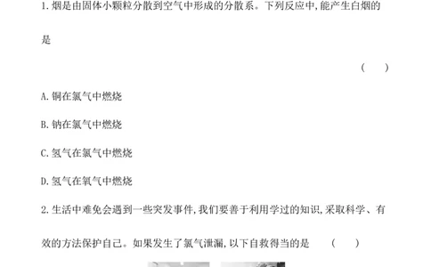 2020学年新人教版必修1：2.2.1氯气的性质作业_化学课件_新人教版高一化学必修一同步练习_2.2氯及其化合物同步练习（2课时，4份，含解析）