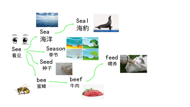 90张思维导图速记800单词(1)(1)_《小学思维导图》_思维导图语数英第二套_英语_小学英语思维导图