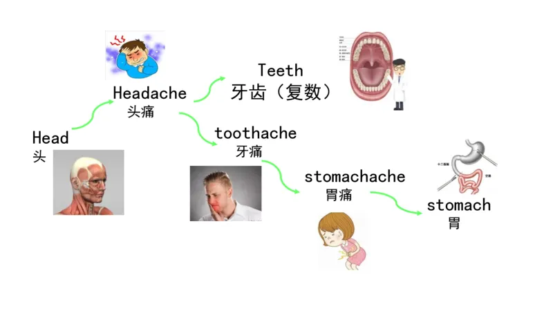 90张思维导图速记800单词(1)(1)_《小学思维导图》_思维导图语数英第二套_英语_小学英语思维导图