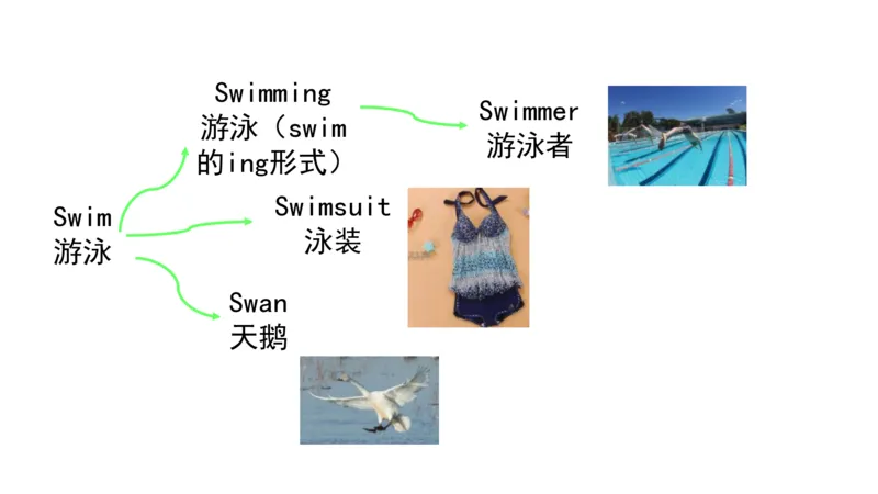 90张思维导图速记800单词(1)(1)_《小学思维导图》_思维导图语数英第二套_英语_小学英语思维导图