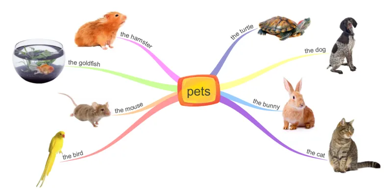 pets_《小学思维导图》_思维导图语数英第二套_英语_思维导图_思维导图RAZAA